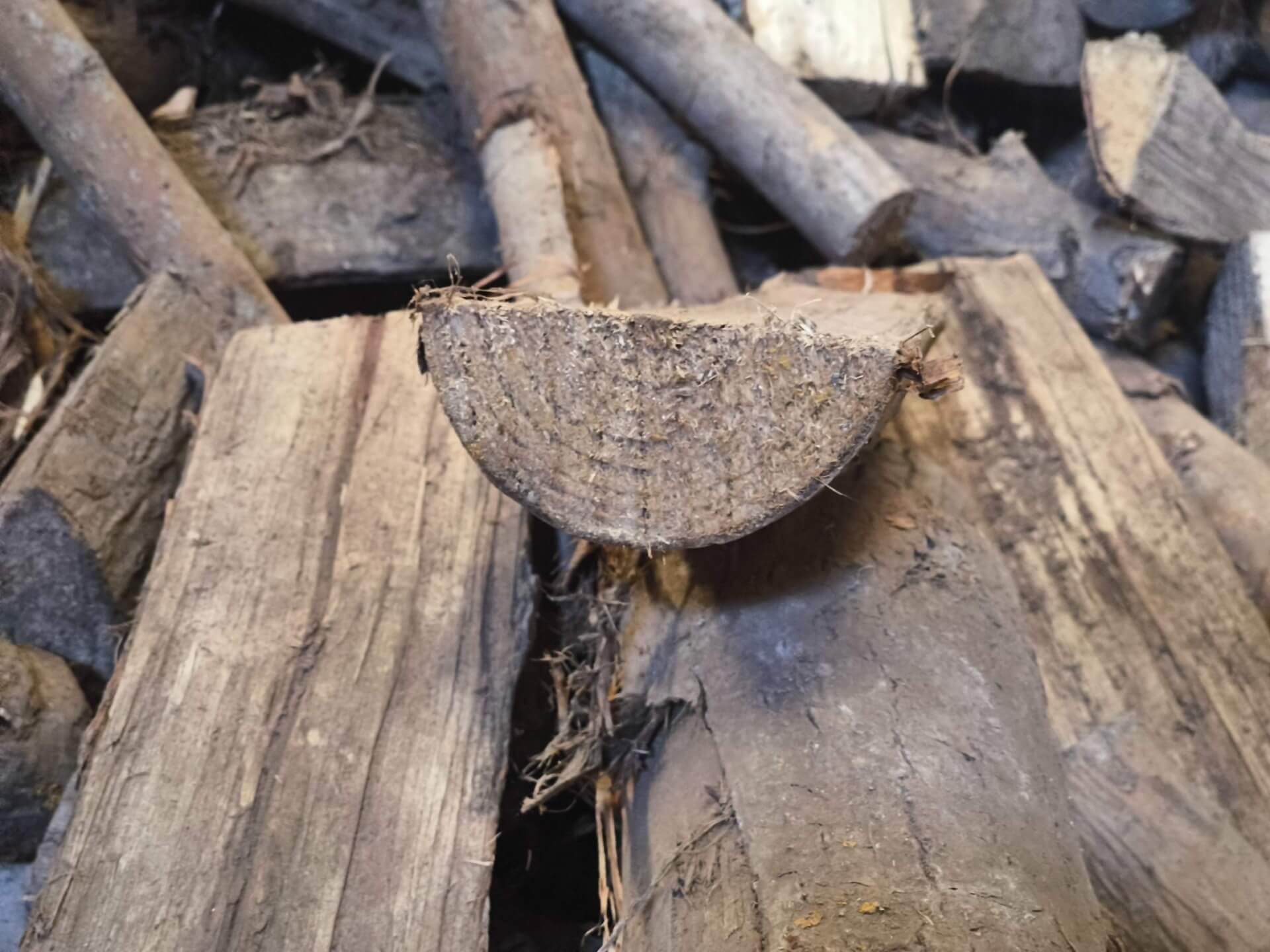 Leña de chopo económica y de encendido en León